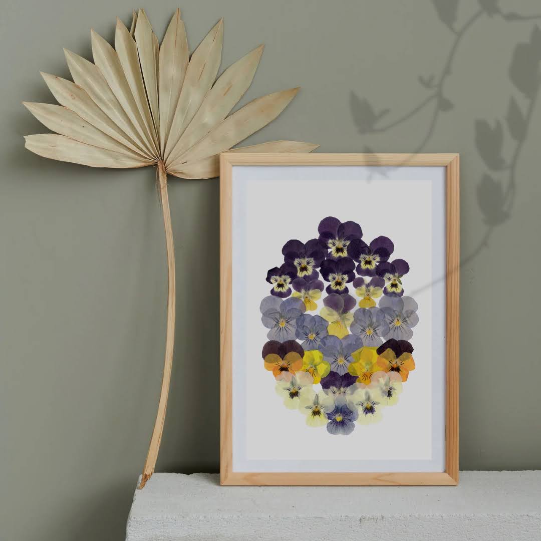 Pressed Flower Art Print - Viola -