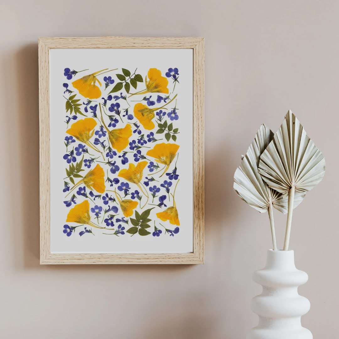 Pressed Flower Art Print - NASTURTIUM -