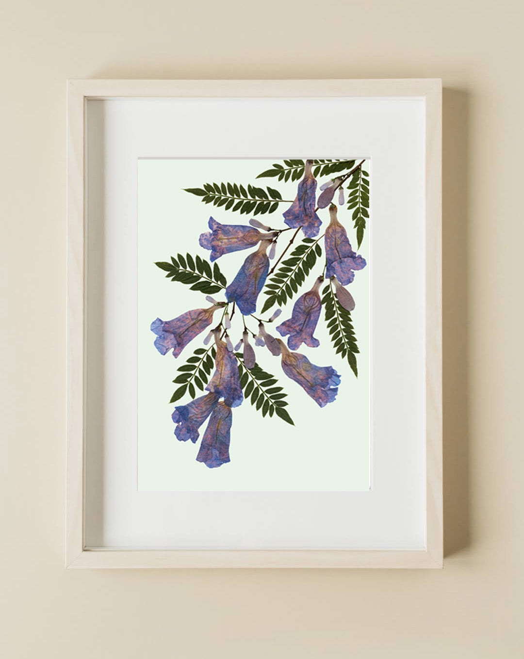 Pressed Flower Art Print - JACARANDA -