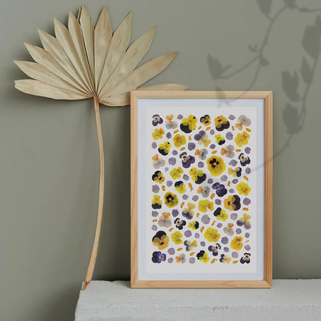 Pressed Flower Art Print  - Viola + Hydrangea -
