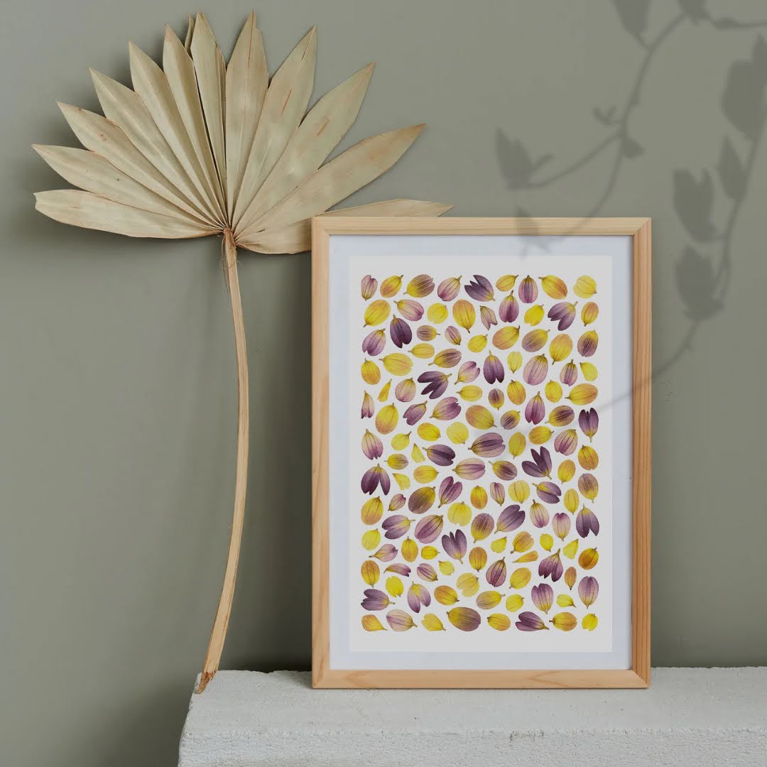 Pressed Flower Art Print  - Dahlia Petals -