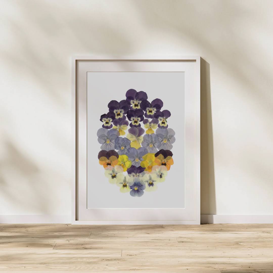 Pressed Flower Art Print  - Viola -