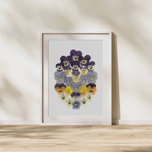 Pressed Flower Art Print  - Viola -