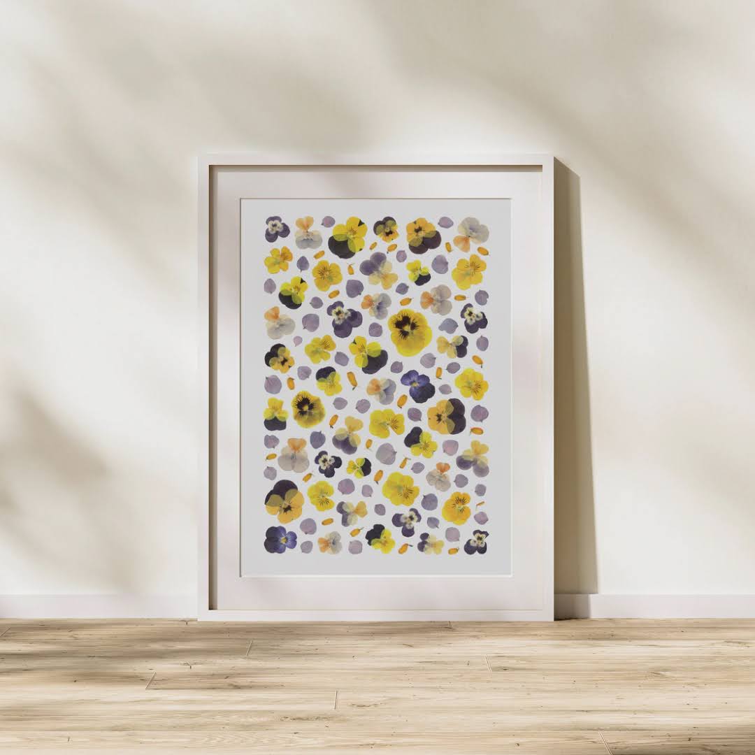 Pressed Flower Art Print  - Viola + Hydrangea -