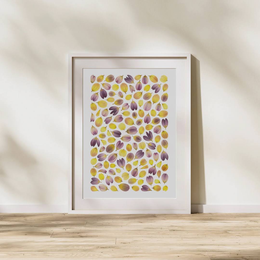 Pressed Flower Art Print  - Dahlia Petals -