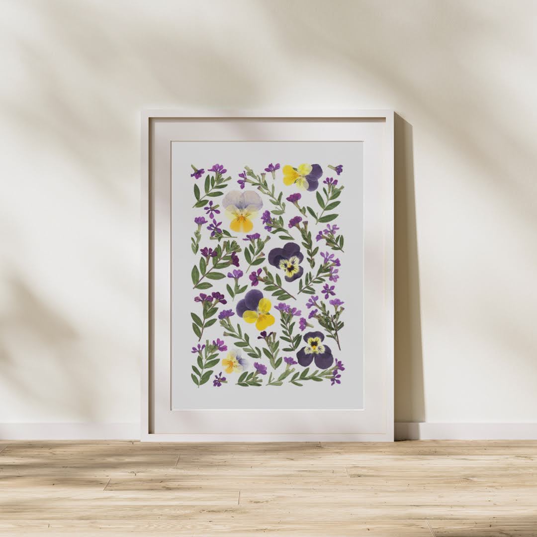 Pressed Flower Art Print - VIOLA + CUPHEA  -