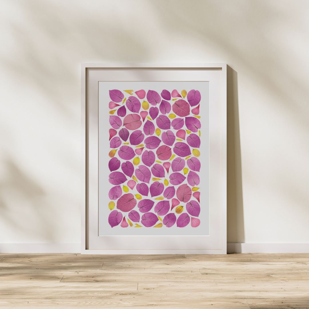 Pressed Flower Art Print - Bougainvillea+Dhlia -