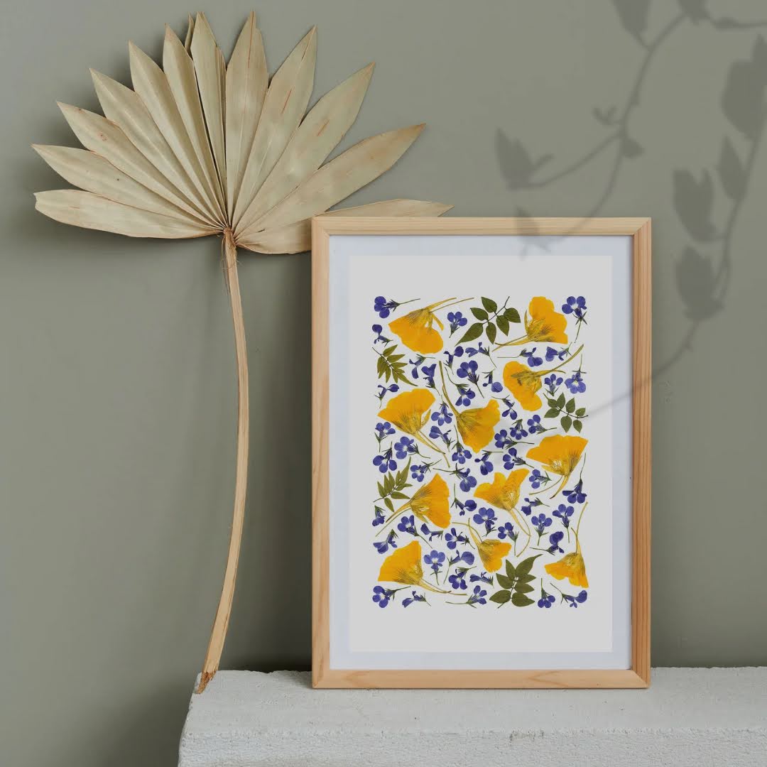 Pressed Flower Art Print - NASTURTIUM -