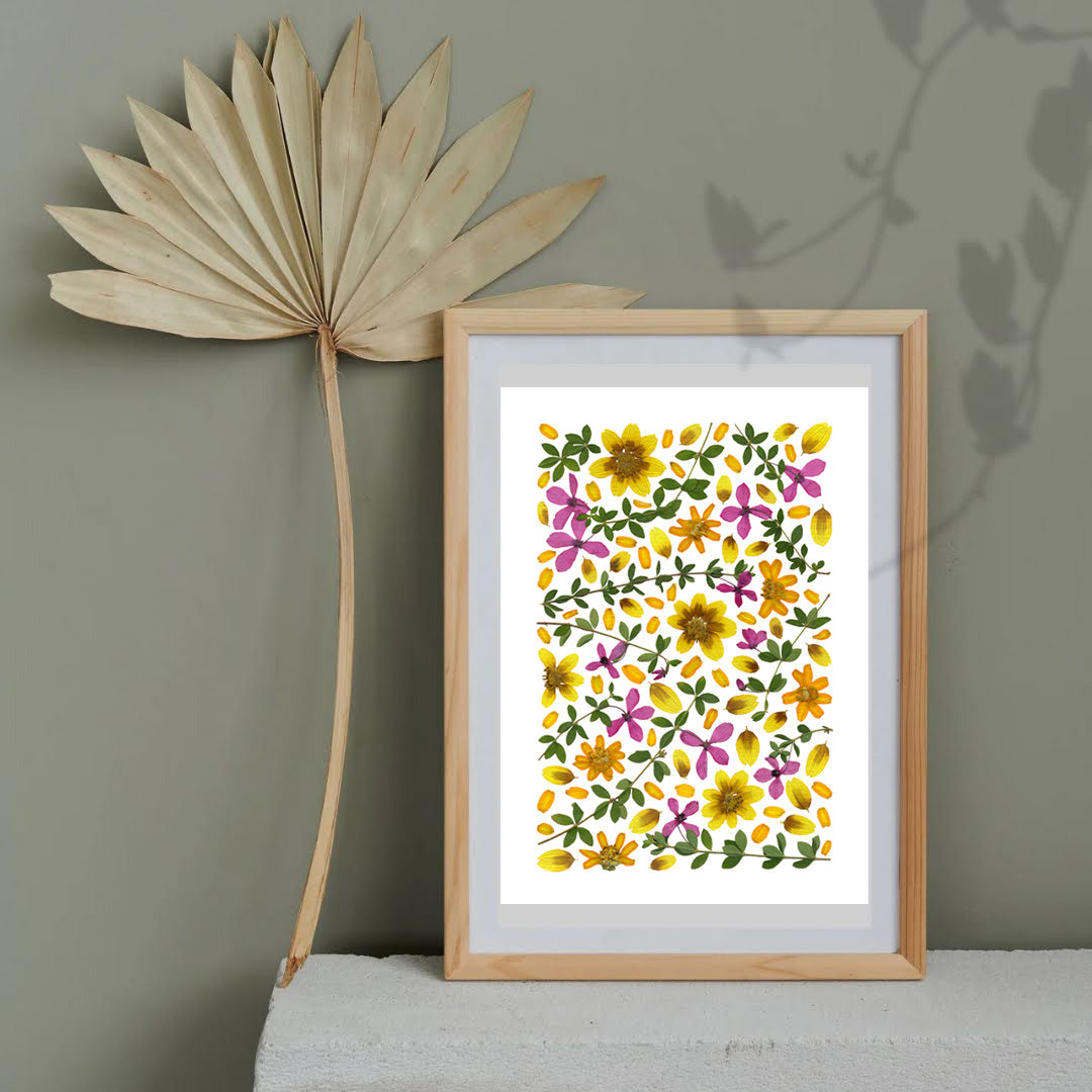 Pressed Flower Art Print  -Tetratheca+Zinnia  -