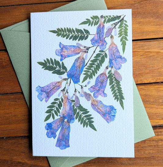 JACARANDA CARD