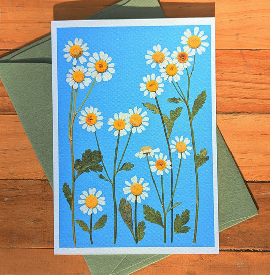 CHAMOMILE CARD