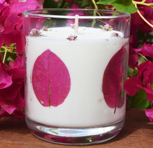 - SMALL 28H BURN TIME -  SOY CANDLE WITH BOUGAINVILLEA
