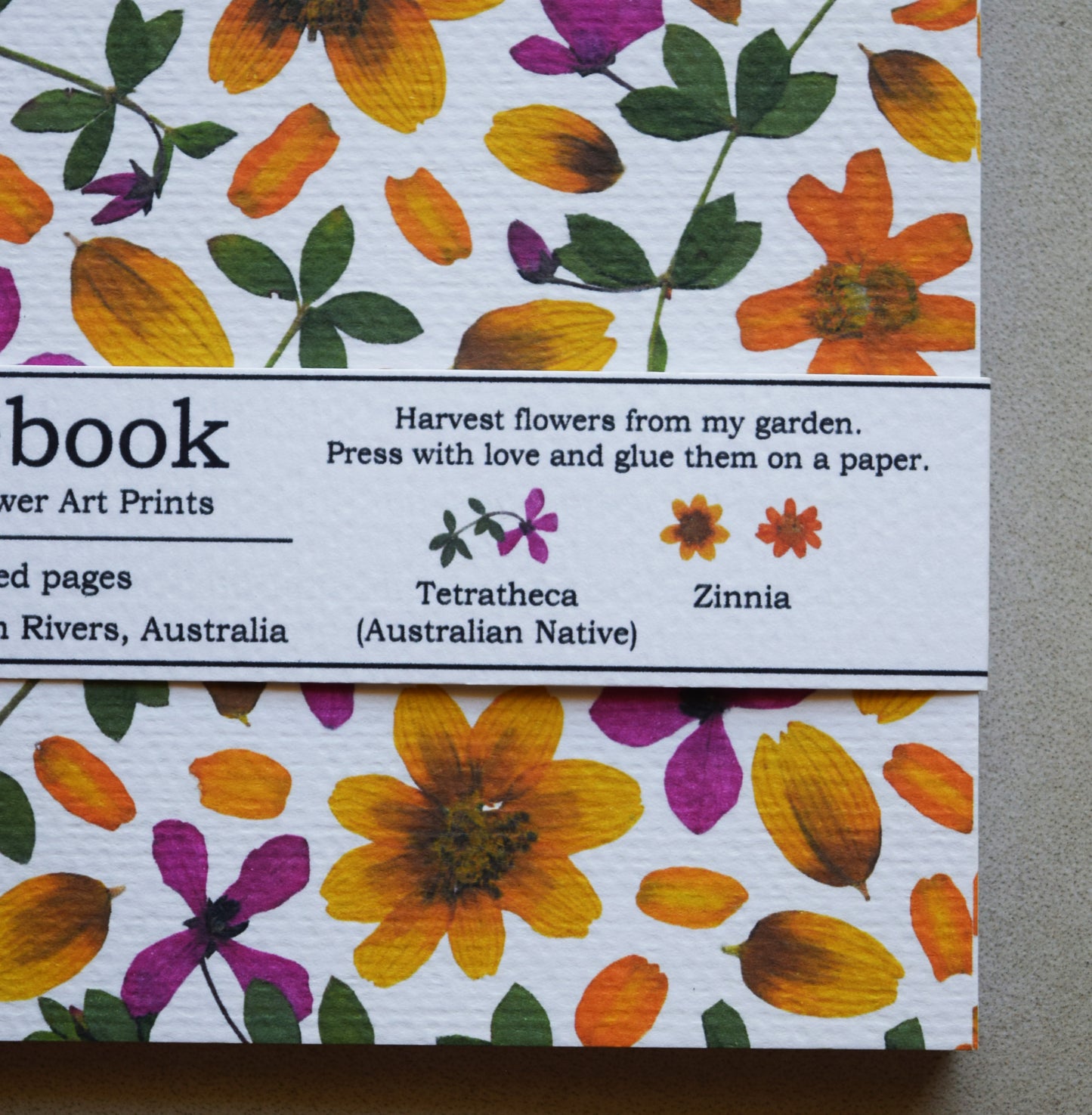 TETRATHECA(NATIVE) + ZINNIA NOTEBOOK