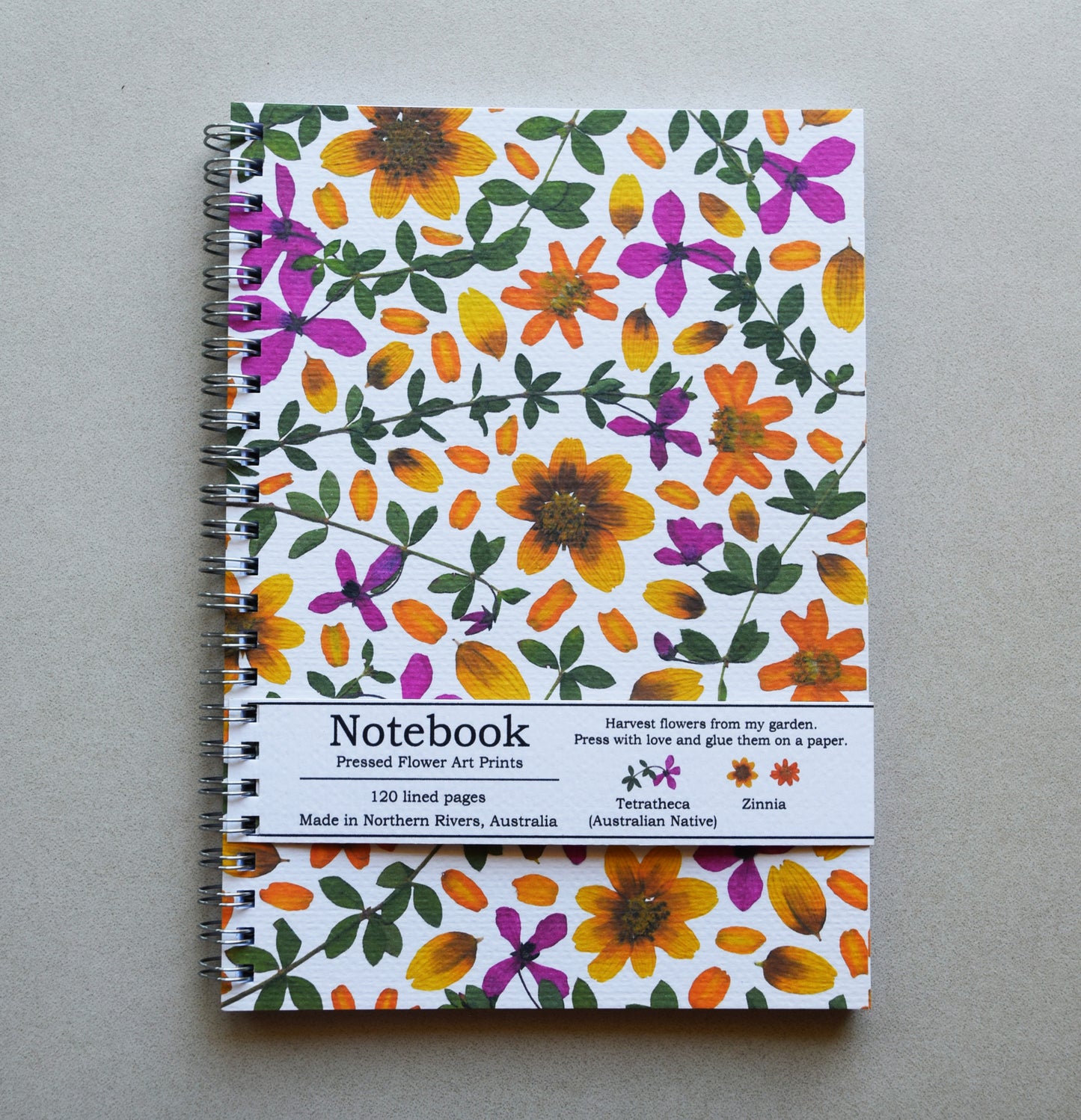 TETRATHECA(NATIVE) + ZINNIA NOTEBOOK