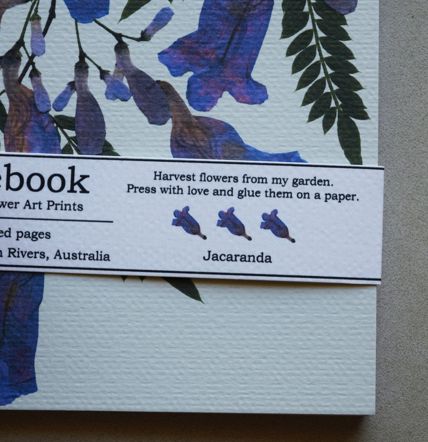 JACARANDA NOTEBOOK