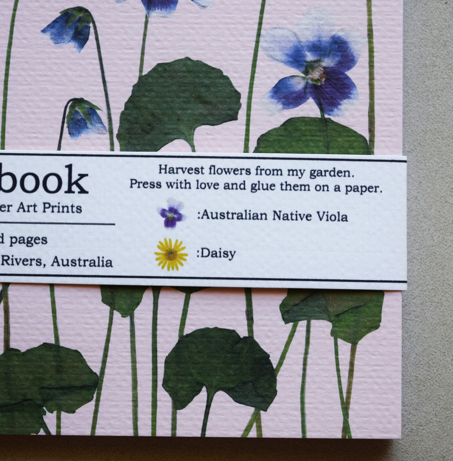 NATIVE VIOLA NOTEBOOK