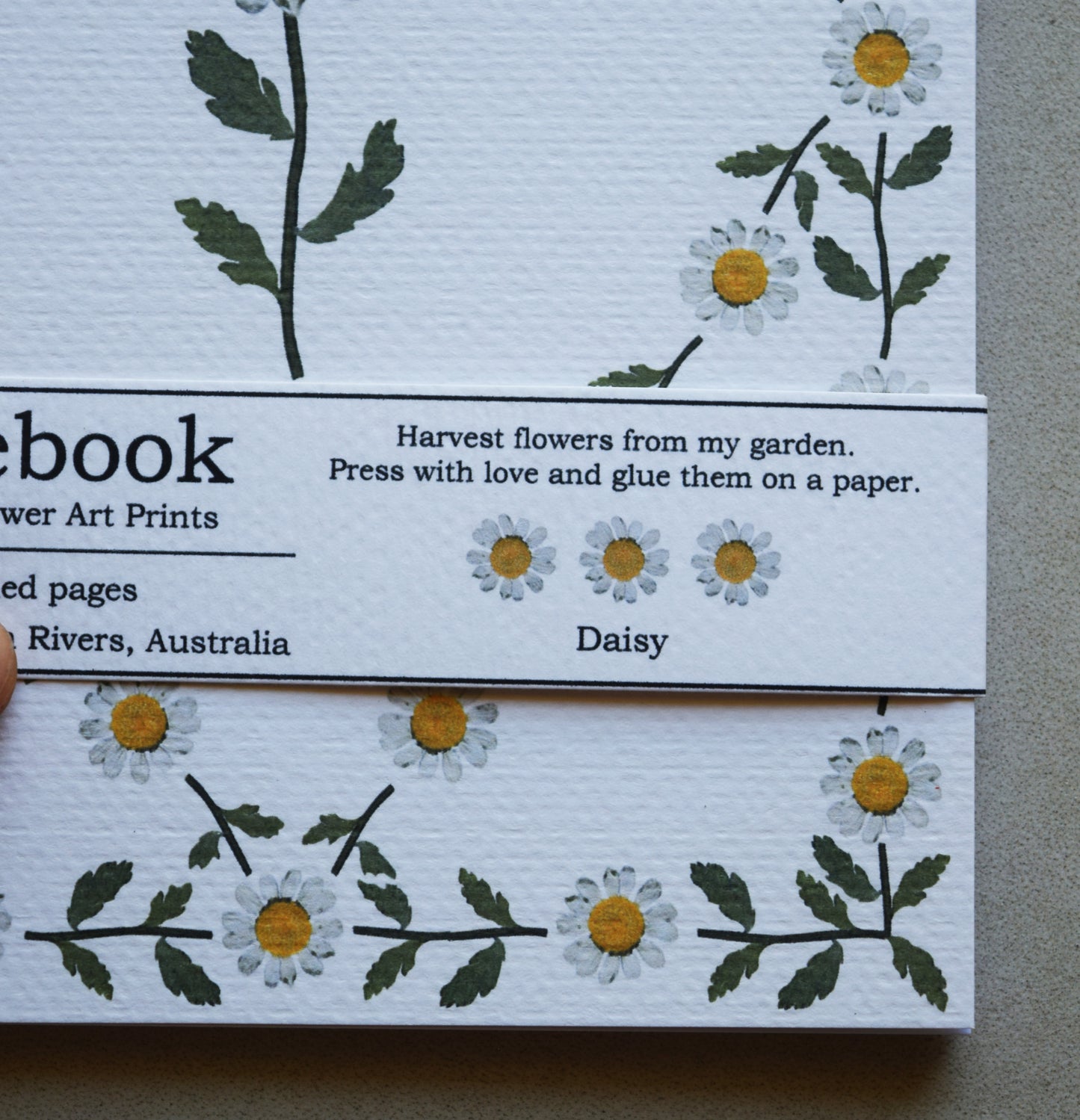 CHAMOMILE WHITE NOTEBOOK